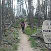 Indicador del Black Elk Wilderness / Ruta a pie Black Hills | Harney Peak | Cathedral Spires 