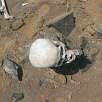 Cráneo con deformación -propio de las culturas pre-incas- / Ruta a pie Visitando el Salitre, un templo inca olvidado 