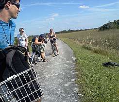Everglades | Shark Valley