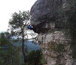 Tur� del Marqu�s