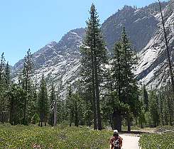 Kings Canyon National Park | Mist Falls