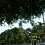 Una vuelta por Key West