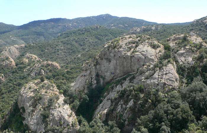 Agulles Rodones