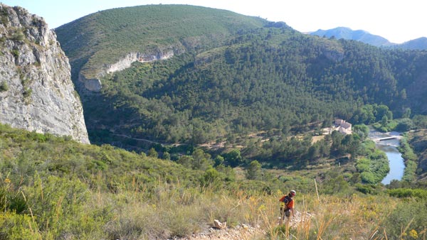 Camino de regreso 