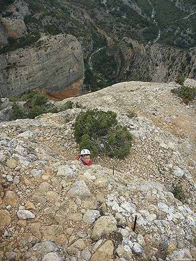 Las clavijas vistas desde arriba 