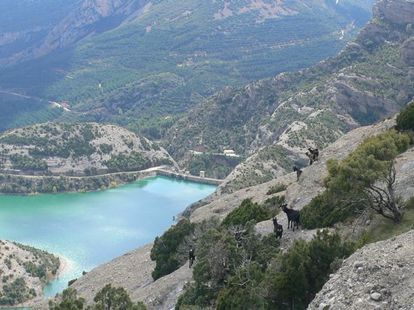En la cima de la Peña encontramos compañía 