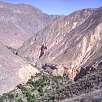 2. A la izquierda vemos el camino que sube de nuevo a Cabanaconde y en el centro el Oasis! / Ruta a pie El cañón del Colca 