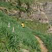 Bajando hacia la Pradera / Ruta a pie La Faja de las Flores 