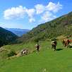 Foto hípica / Ruta a pie Gorges del Segre y Ermita de Sant Feliu de Castellvell 