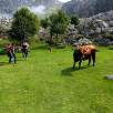 A tiro de piedra del lago de Ercina / Ruta a pie Circular de los lagos de Covadonga | PR-PNPE2 
