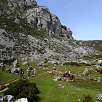 El camino está muy marcado en el lateral del lago de la Ercina / Ruta a pie Circular de los lagos de Covadonga | PR-PNPE2 