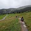 Bajamos por una pista que serpentea por el campo / Ruta a pie Sendero familiar por el río Flem | Suiza 