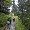 El sendero sigue por el bosque de abetos / Ruta a pie Sendero familiar por el río Flem | Suiza 