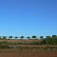 Globo aerostático sobrevolando el Plà de Bages 