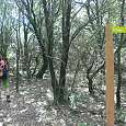 En este desvío al Huevo nosotros seguimos un pequeño sendero entre el bosque a la izquierda no hacia el Huevo 
