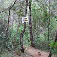 Si llegamos a este paso con la argolla en el suelo nos hemos pasado el camino de subida a la vía. Toca retroceder 