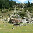 La Cabana dels Esparvers 