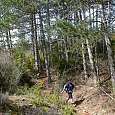 Bajando por el bosque en busca del barranco de Chimiachas 