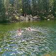 Disfrutando de las frías aguas del lago 