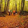 Caminando por la Fageda d en Jordà 