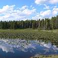 El estanque Heron 