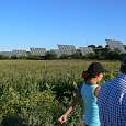 Cerca de los huertos solares 