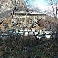 Panales de Abejas 