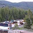 De regreso al camping unos bisontes cruzaron la carretera 