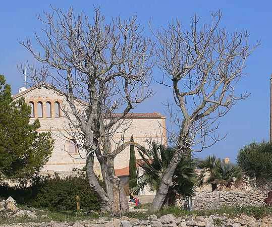 La Morella | Garraf