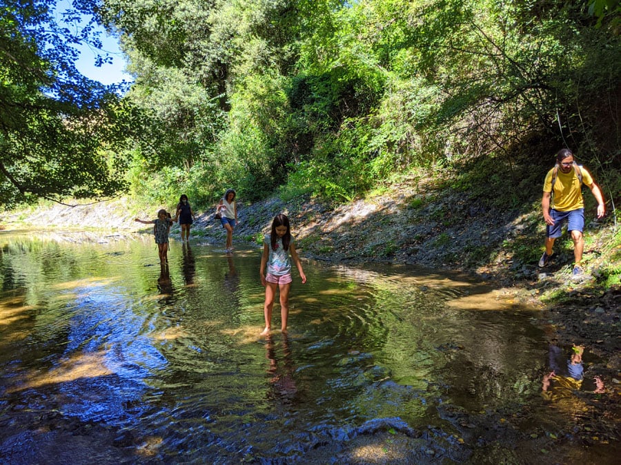 Caminando por el río Brugent en busca de la poza d'en Valls