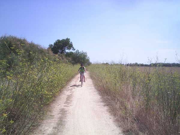 Zona de influencia del parque natural 