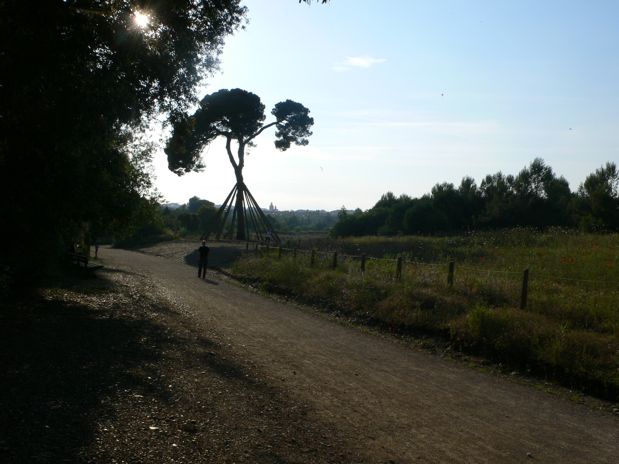 El Pi d