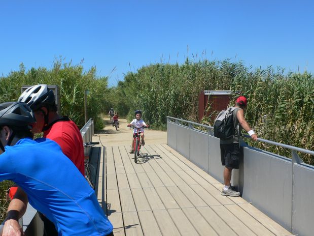 Puente que nos lleva al mirador del Delta 