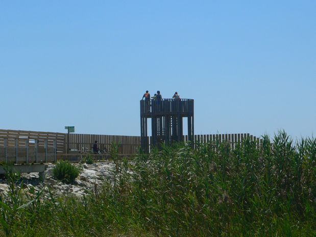 El Mirador del Delta del Llobregat 
