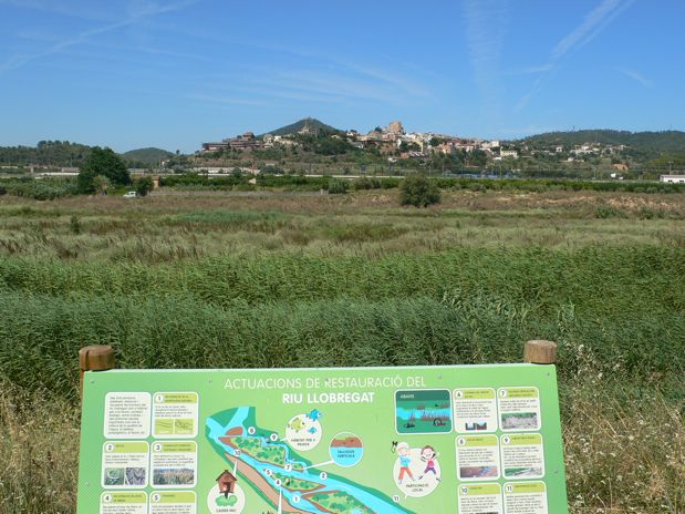 Zona restaurada del río cerca del Papiol 