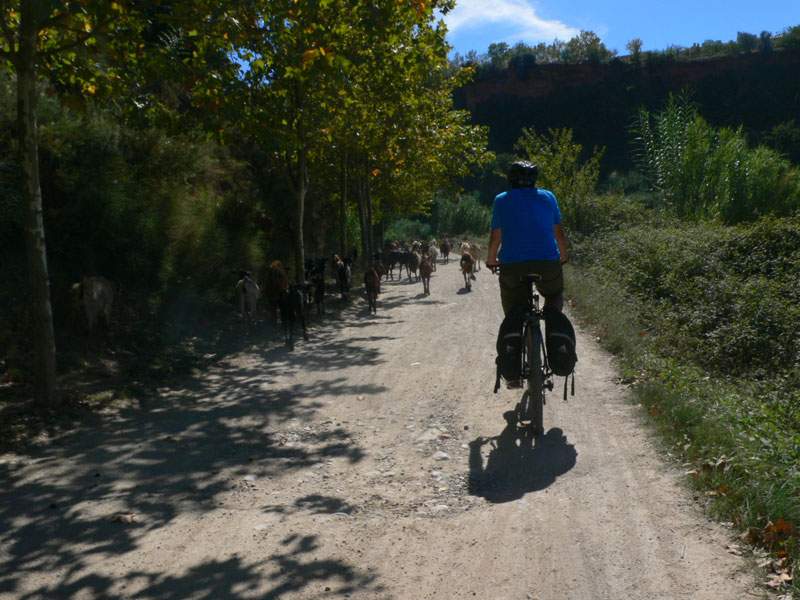 Zona de pastoreo 