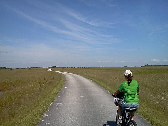 Camino de vuelta 