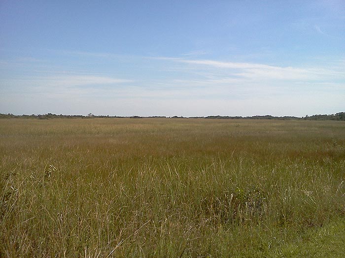 El río de hierba 