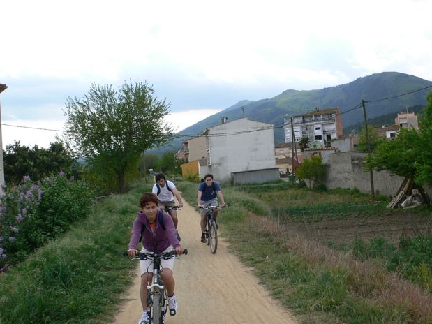 Entre campos 