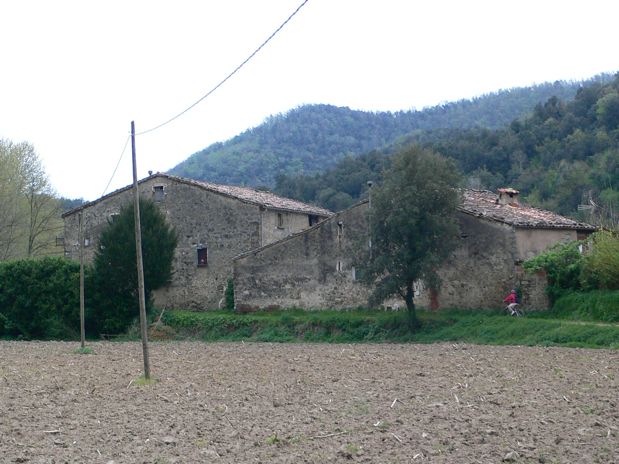 Masias 