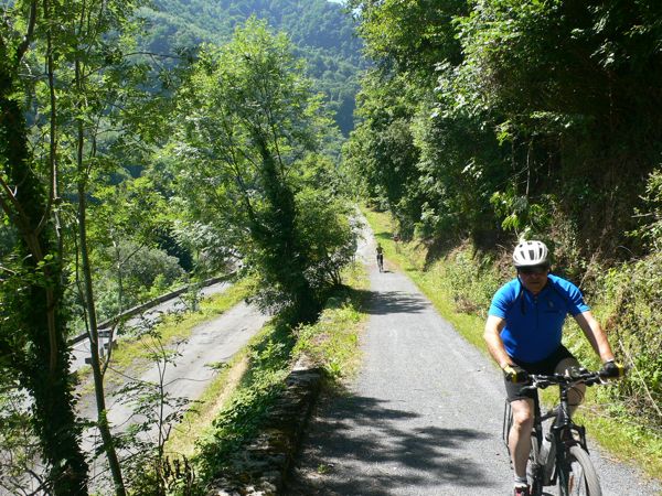 Cogiendo velocidad de nuevo 