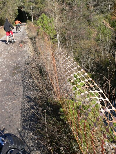 Puente que cruza el Llobregat 