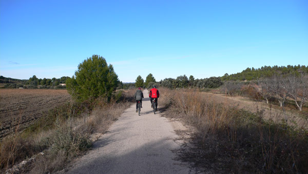 Rodeados de campos 