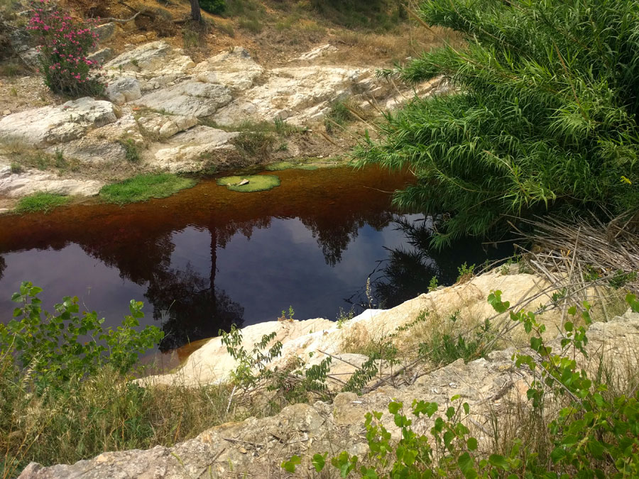 Caminamos por la orilla derecha del río Clariano 
