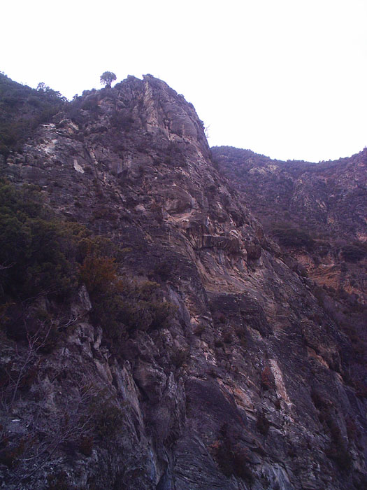 Overview of the Tossal Gran wall 