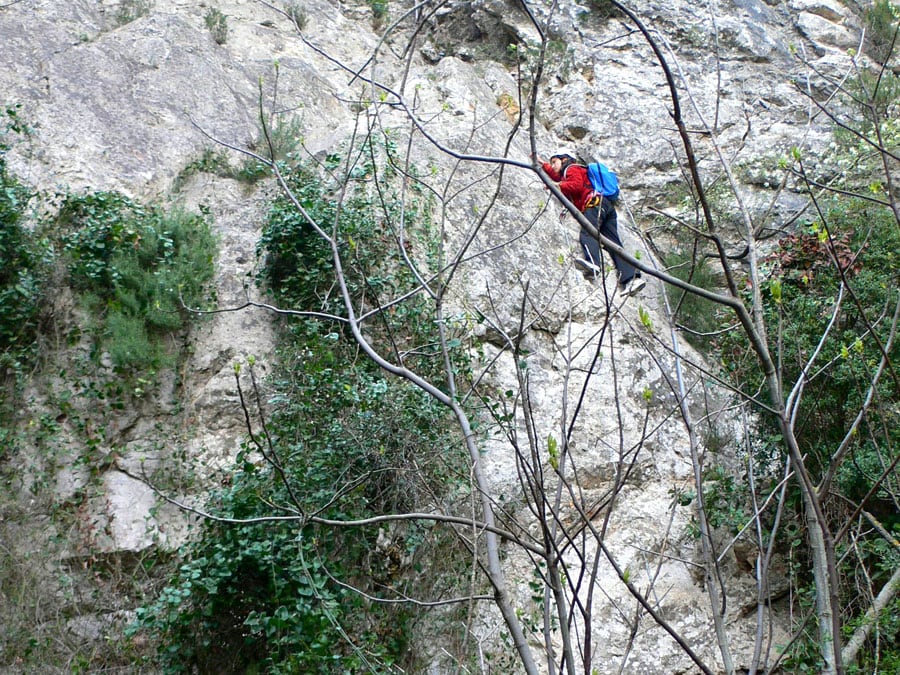 Barranc de la Foig 