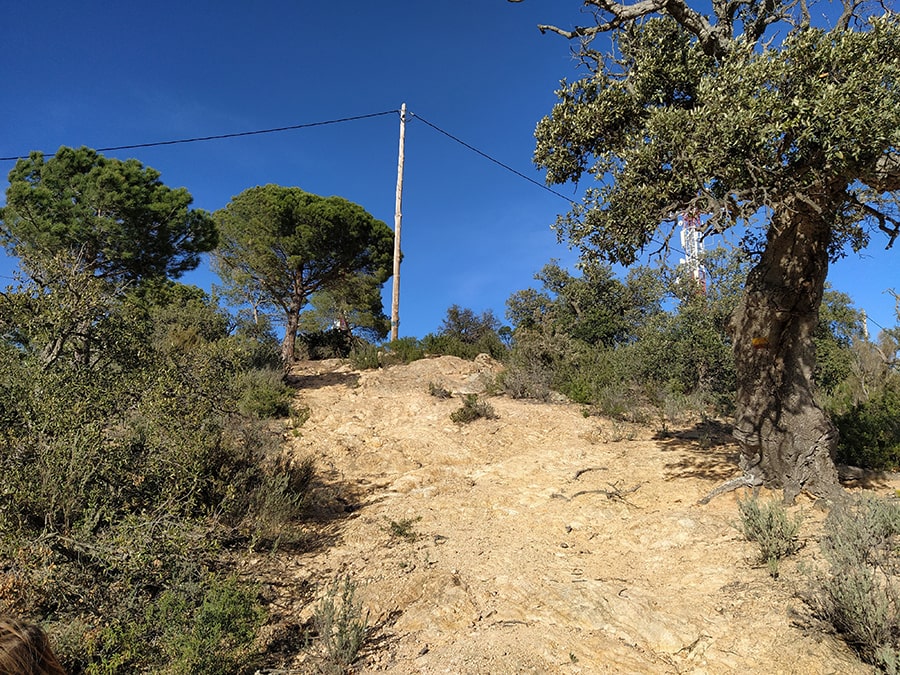 Subida al mirador 