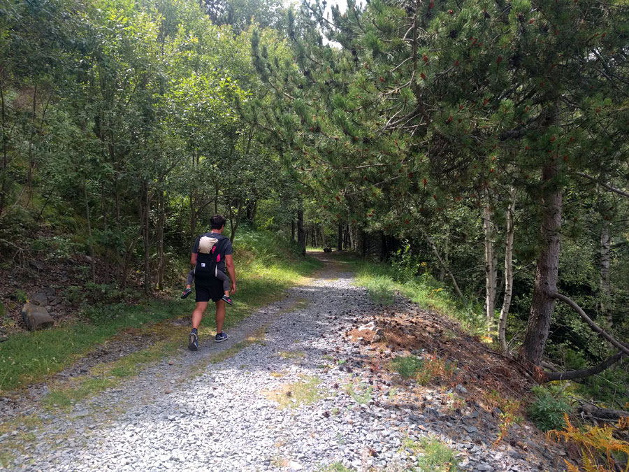 The path levels off along a wide track 