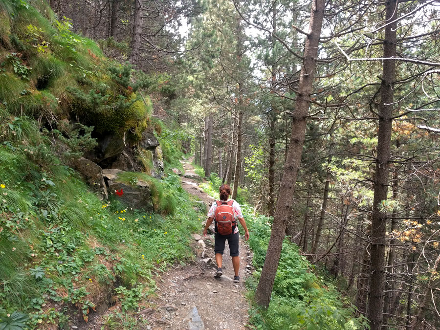 The path becomes a bit wilder 
