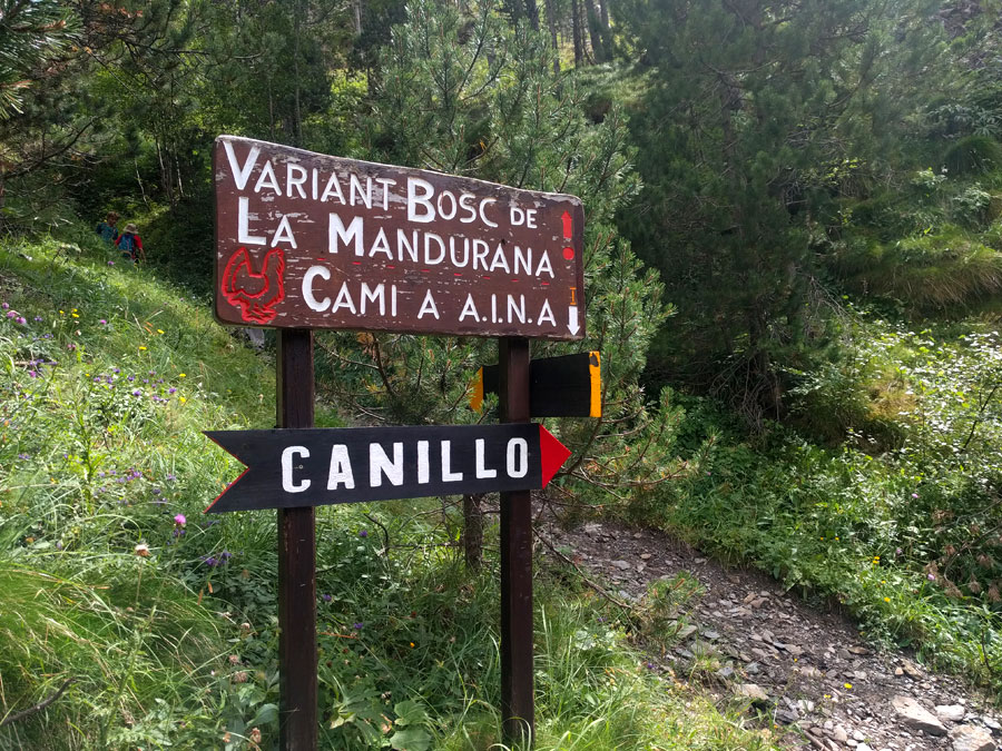 Longest alternative that goes into the Mandurana forest 